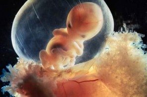 11x De Waarheid Over Zwangerschapsmythes Me To We