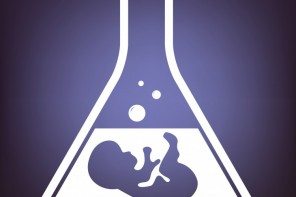 11x De Waarheid Over Zwangerschapsmythes Me To We